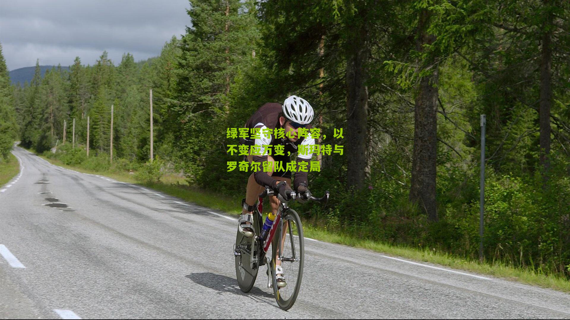 绿军坚守核心阵容,以不变应万变,斯玛特与罗奇尔留队成定局