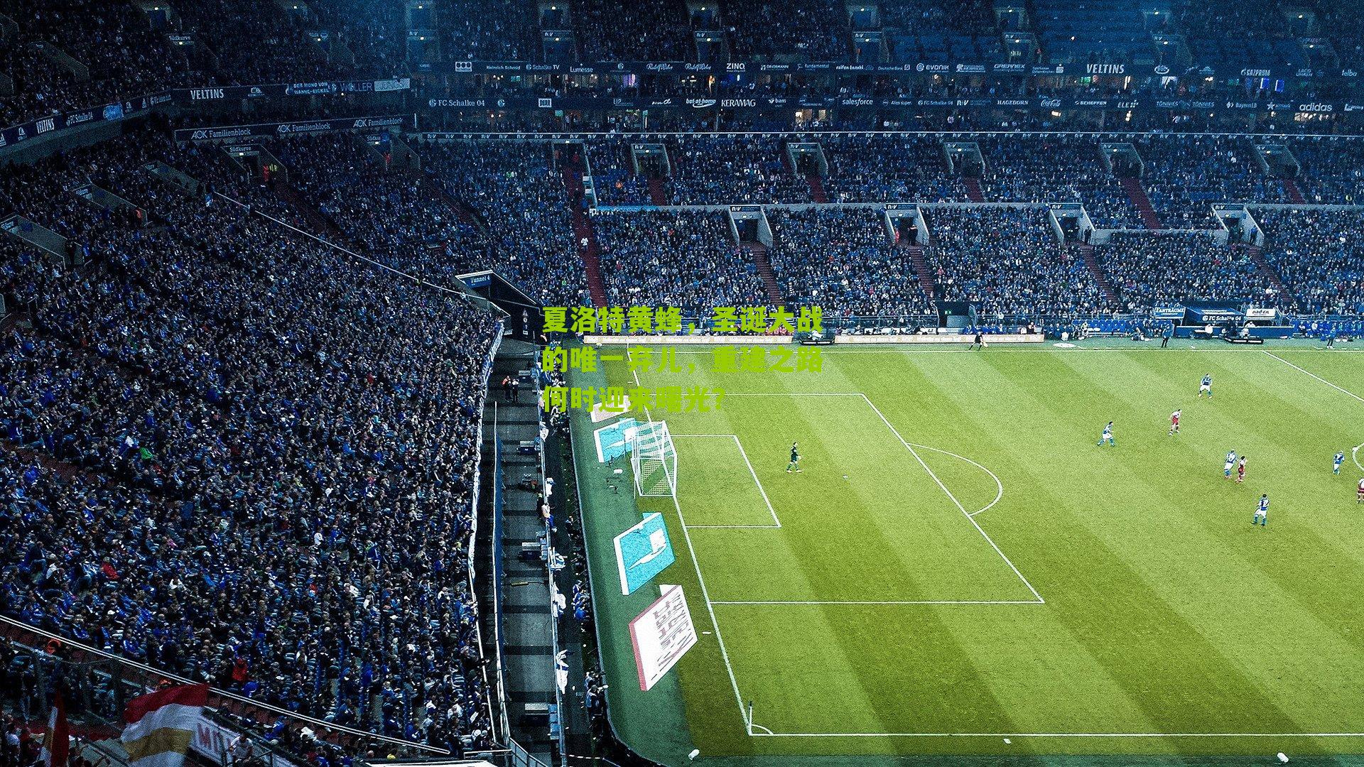 夏洛特黄蜂,圣诞大战的唯一弃儿,重建之路何时迎来曙光?